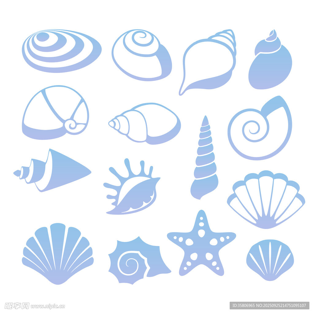 海洋贝壳海星图案 