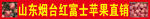 山东烟台红富士苹果直销