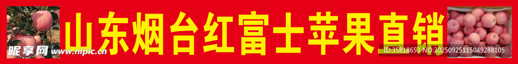山东烟台红富士苹果直销