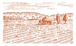 田野场景插画