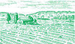 乡村田野线条画