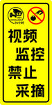 私人果树采摘必究视频监控禁止采
