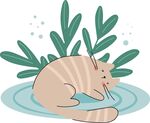 酣睡的条纹猫咪与绿植