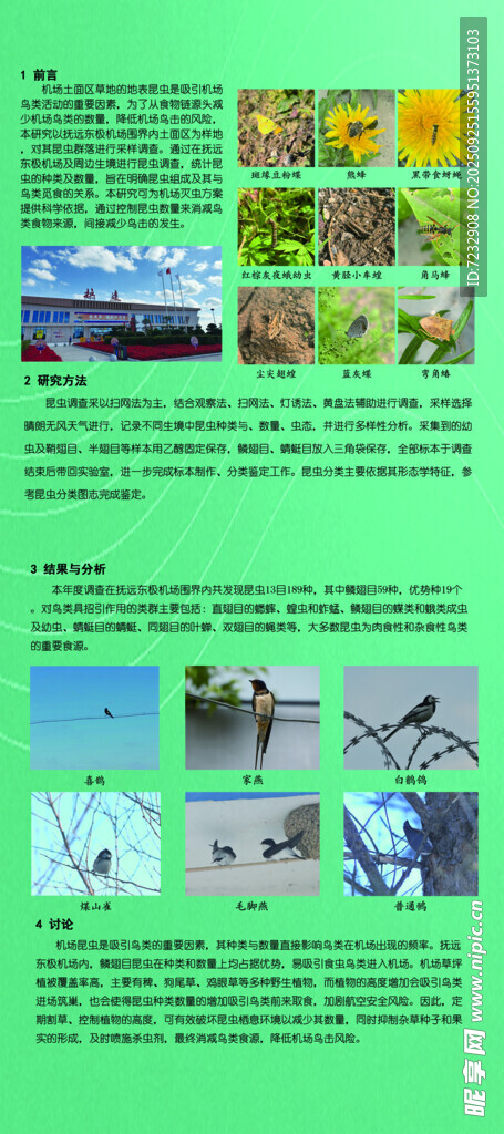 绿色环保主题宣传页展示