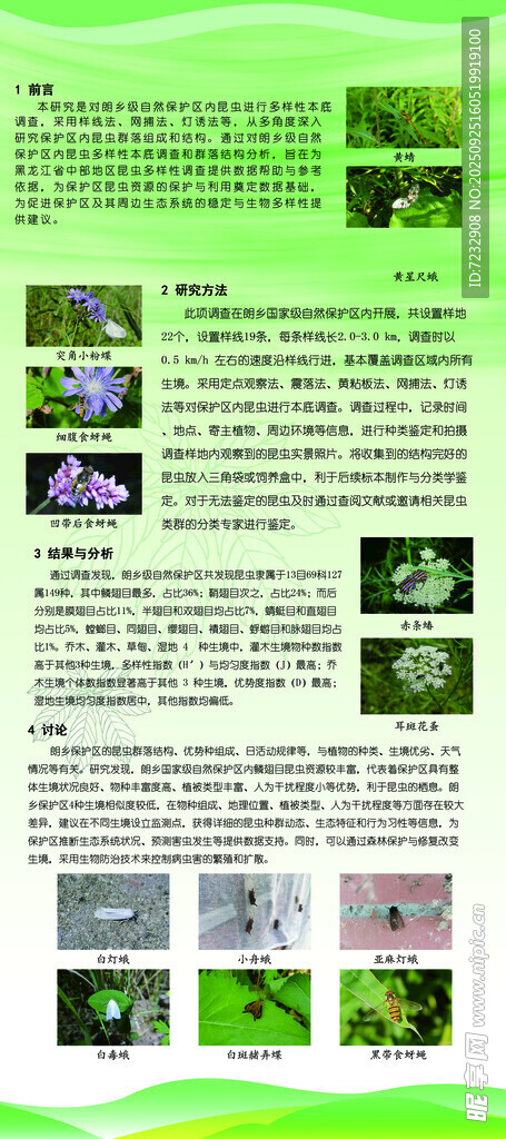 绿色环保主题宣传页展示