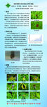 植物生长监测相关图文展示