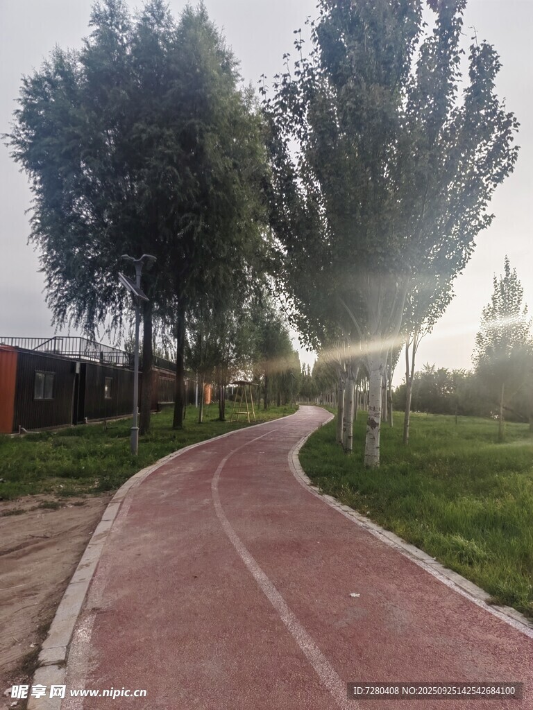 晨光下的林间红色健身步道