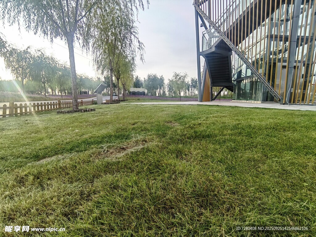 户外草坪旁的现代建筑景观