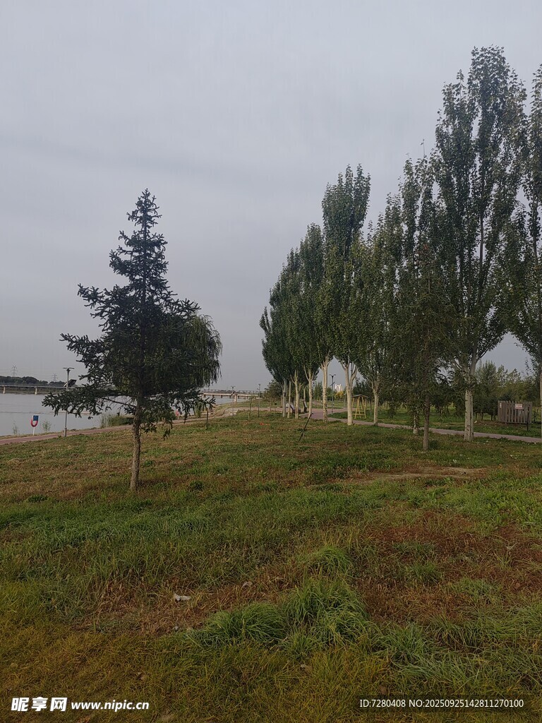 郊外草地与树木风景