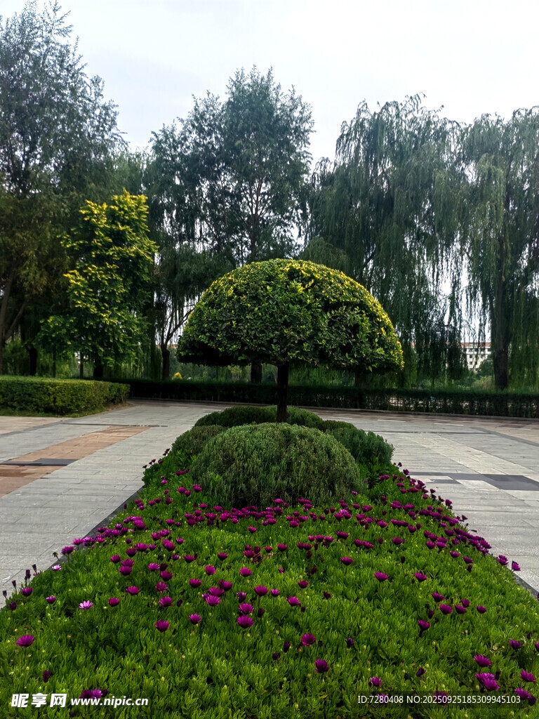 园林景观中的绿植花卉
