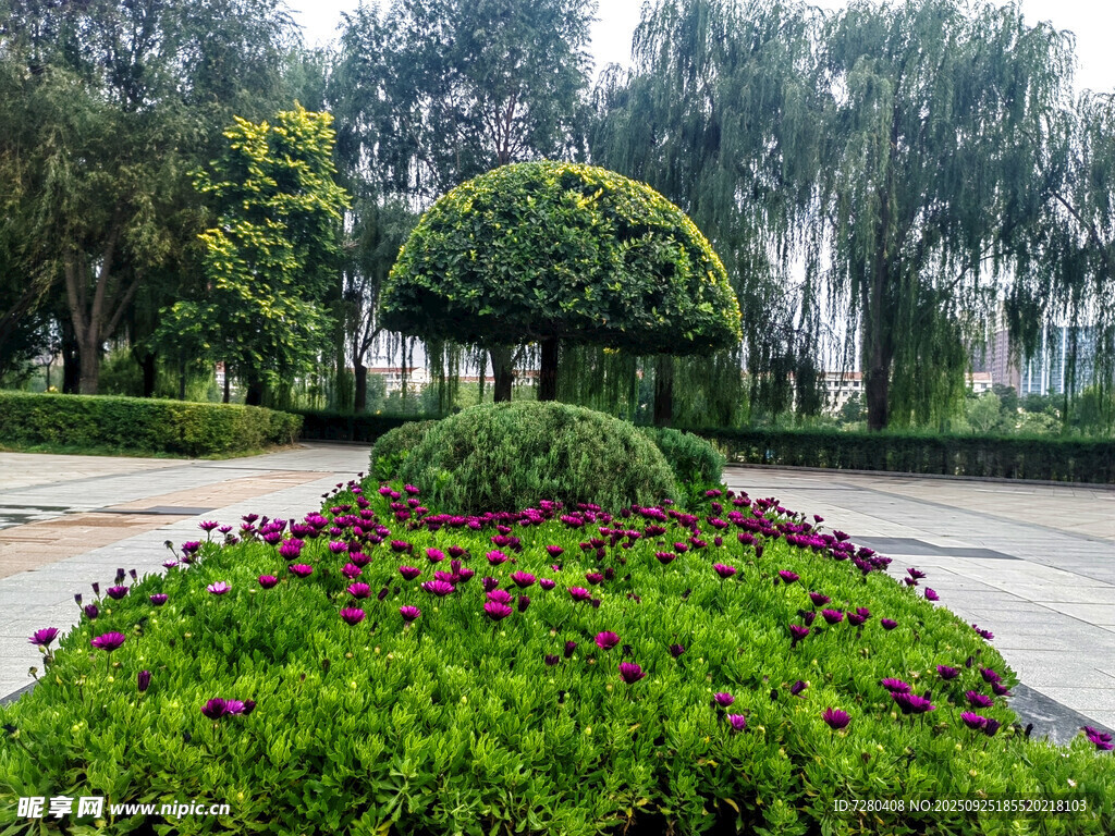 园林绿植花卉景观造型
