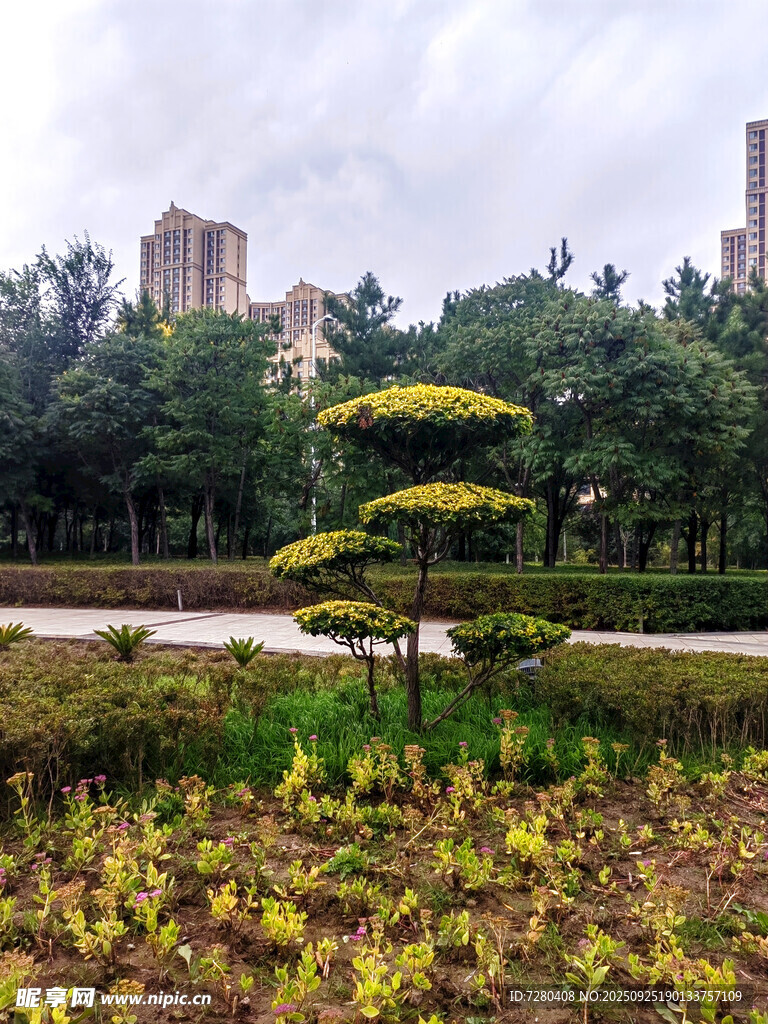 城市公园中的别致绿植景观