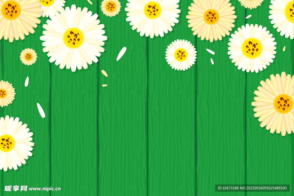 绿色背景上的清新雏菊花海