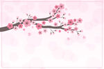 粉色樱花枝唯美浪漫风