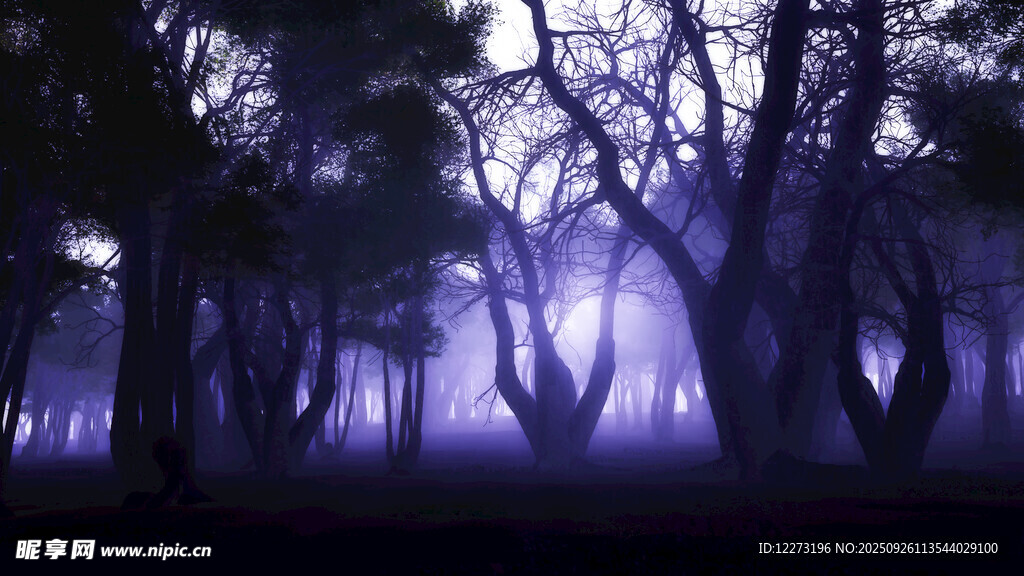 梦幻紫色迷雾森林夜景