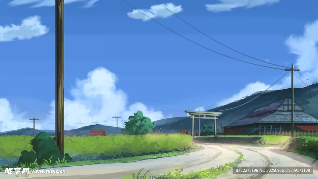 乡村公路旁的宁静景象