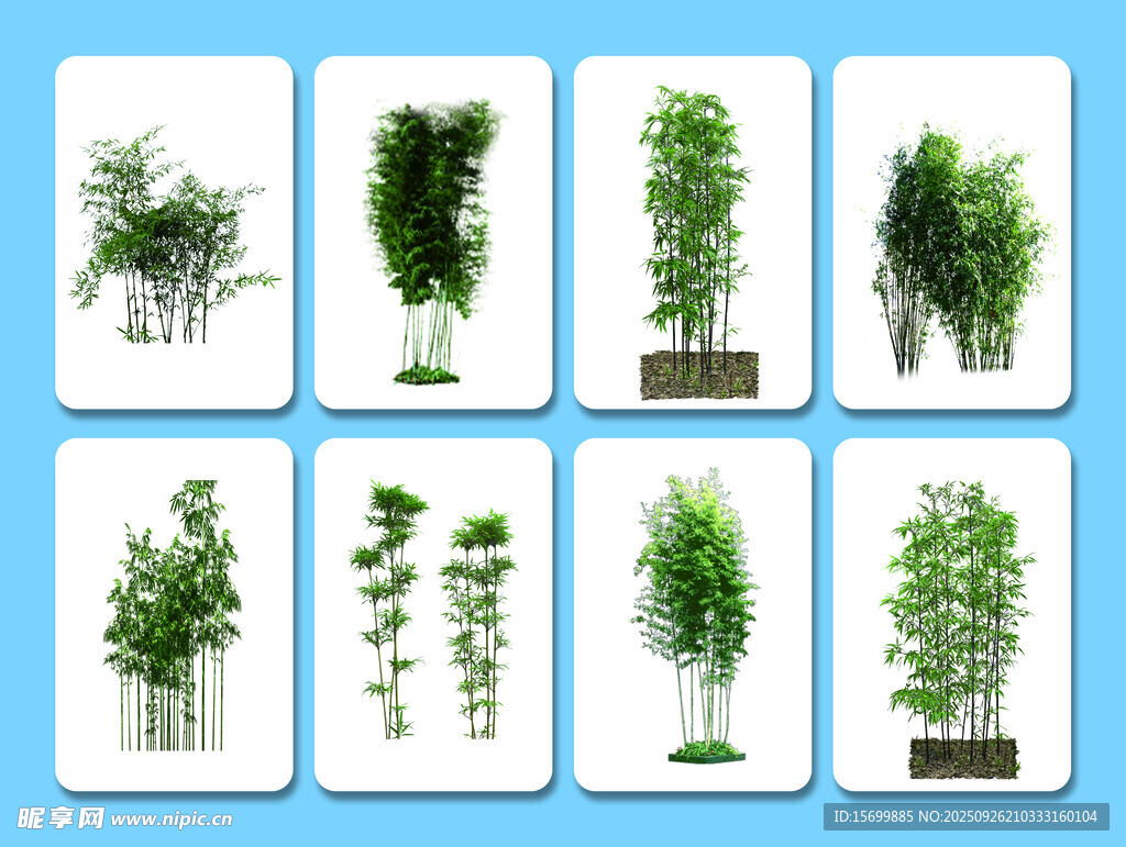 多样绿植展示图