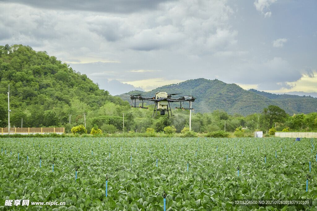 农田上空的无人机作业场景