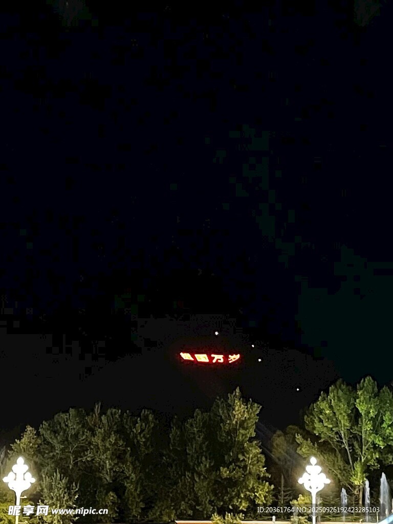 夜晚景观中的灯光与树木