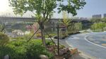 城市路边绿植景观