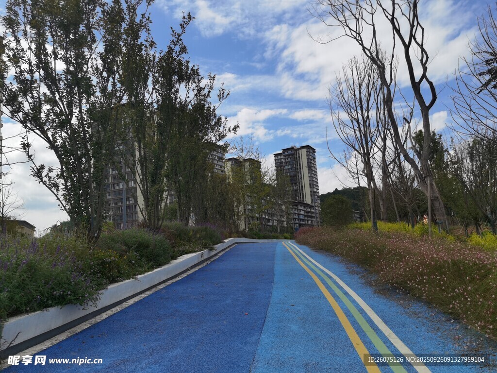 蓝色步道旁的城市风景