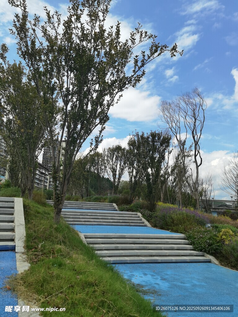 户外蓝色水景与绿植景观