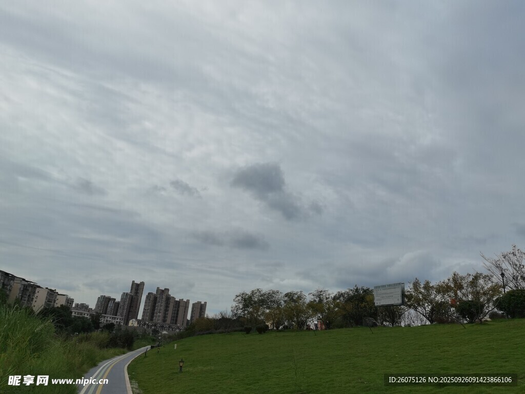 城市草地与远处建筑景观