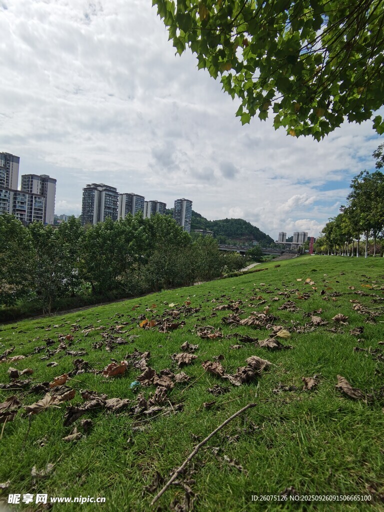 城市边的翠绿草地景观