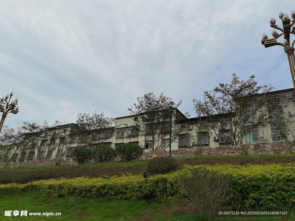 古老建筑与绿植相映成趣