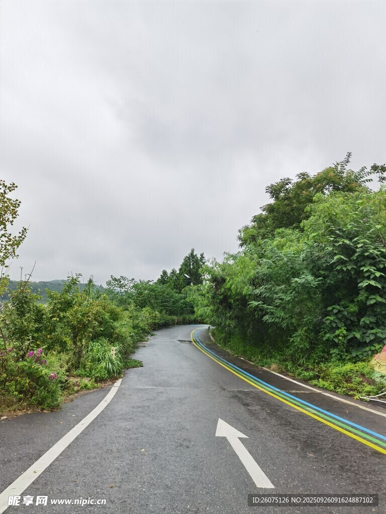 蜿蜒公路旁绿意盎然