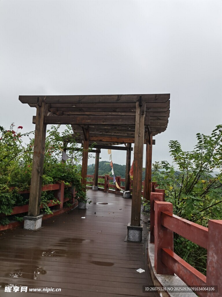 雨中木质栈道与周边景致
