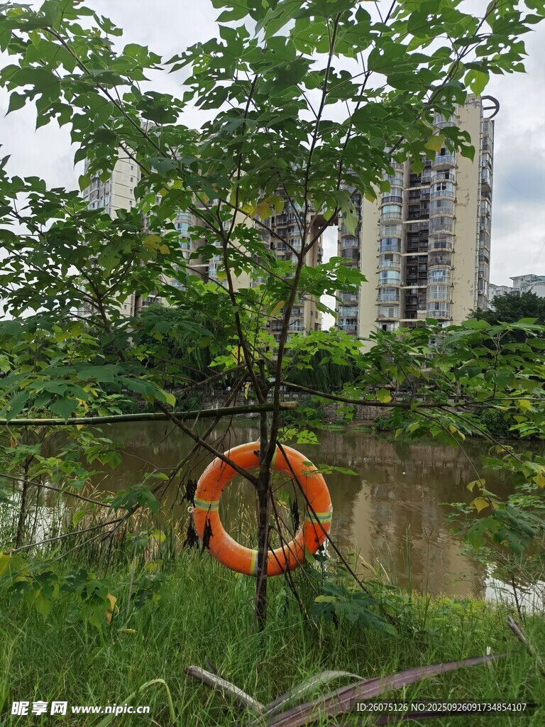 河边绿树旁的橙色救生圈