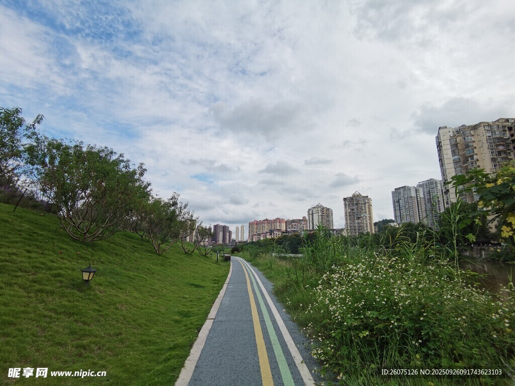 城市中的绿色骑行小路