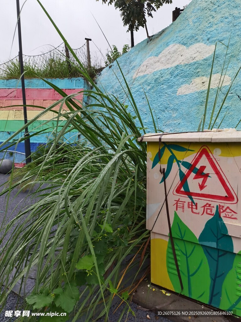 彩色墙旁的绿植与警示标志