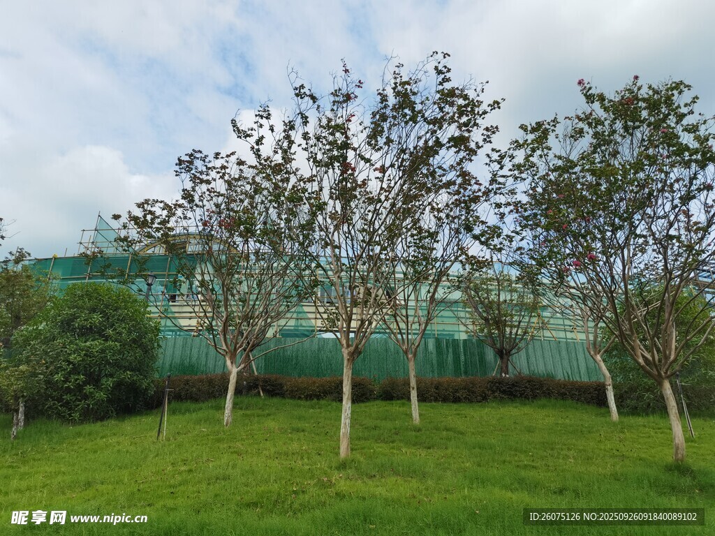 果园绿树草地风景图
