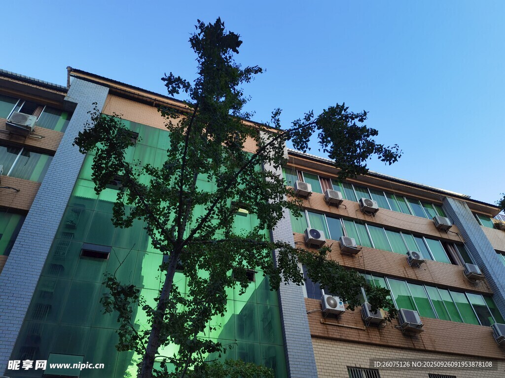 绿树旁的现代多层建筑
