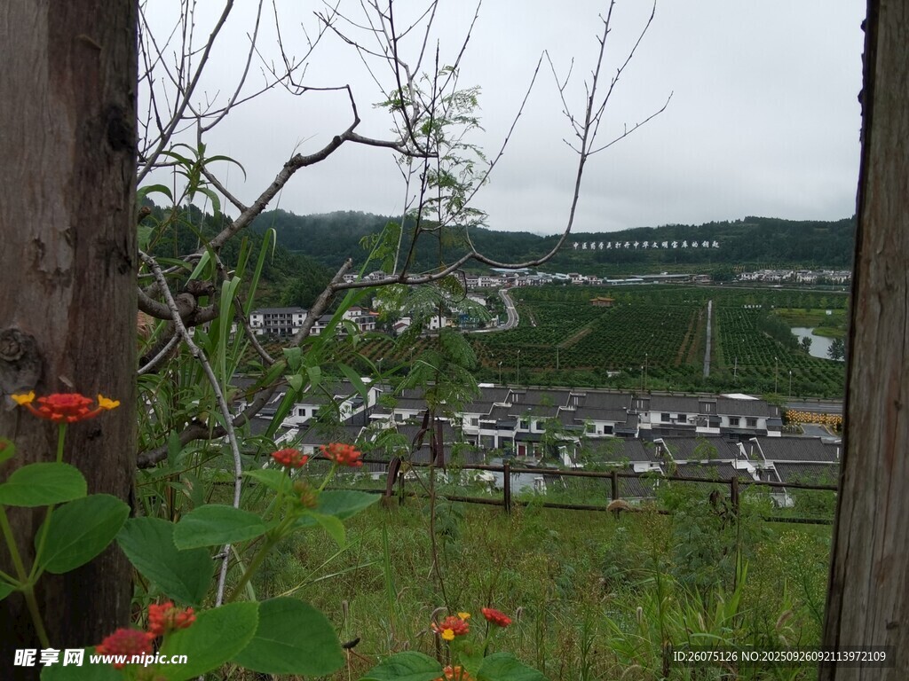 山坡野花间的远观城镇景