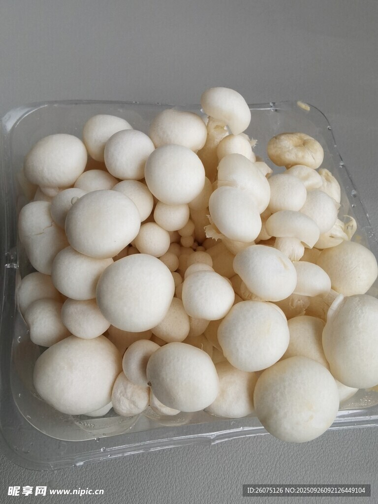新鲜白玉菇饱满又诱人