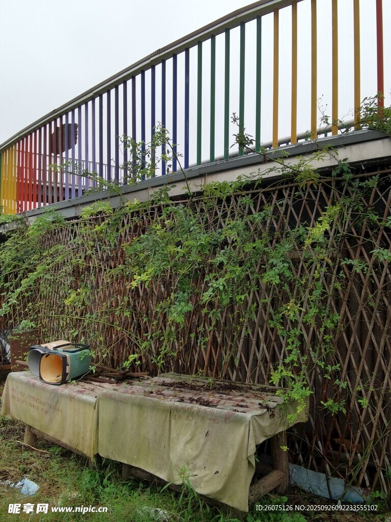户外绿植旁的简易置物场景