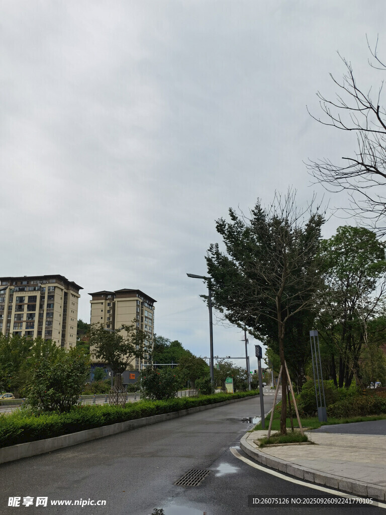 城市街道旁的建筑与绿植