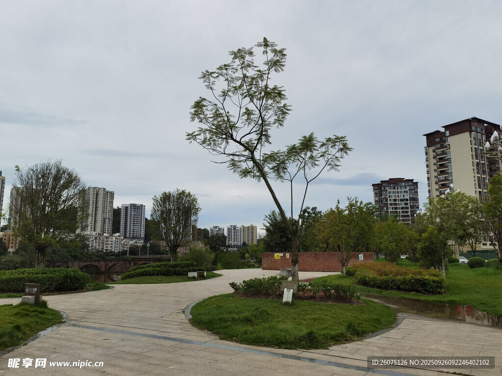 城市中的静谧绿化景观