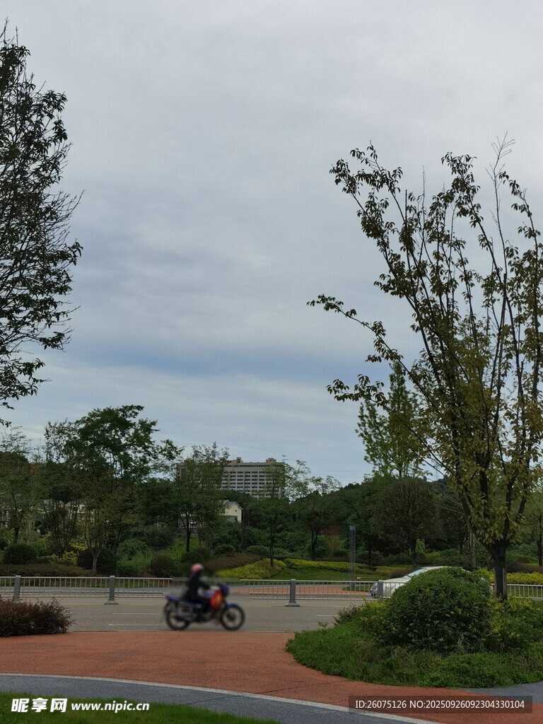 户外公园的美丽景致