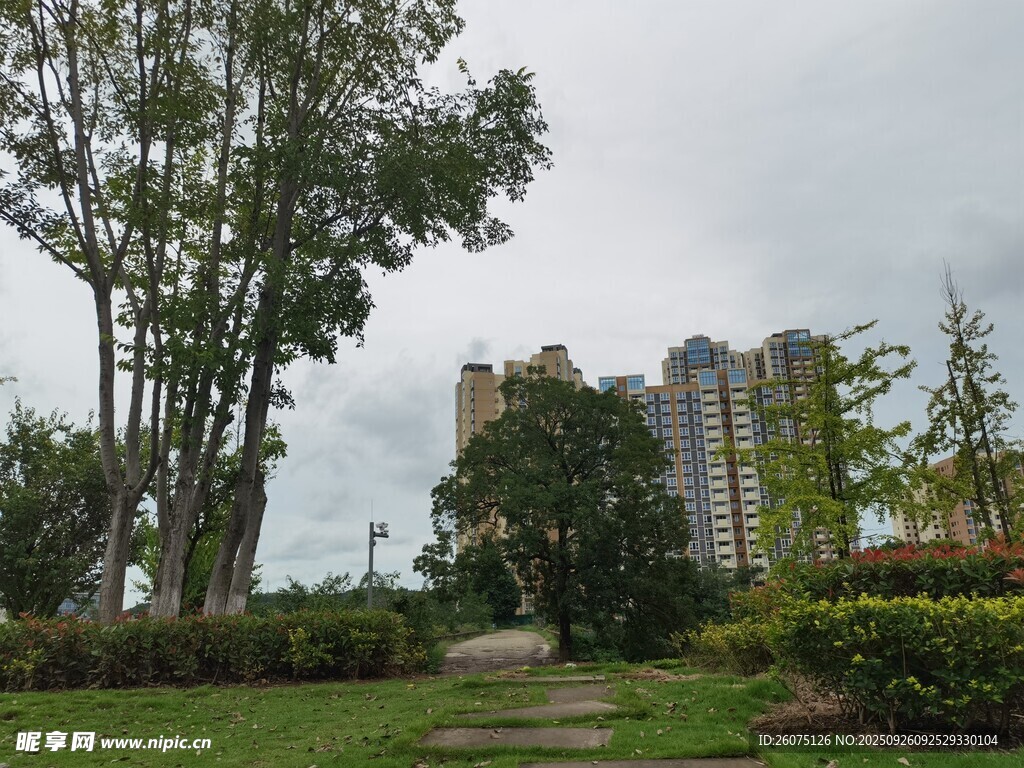 城市中的静谧绿化景观