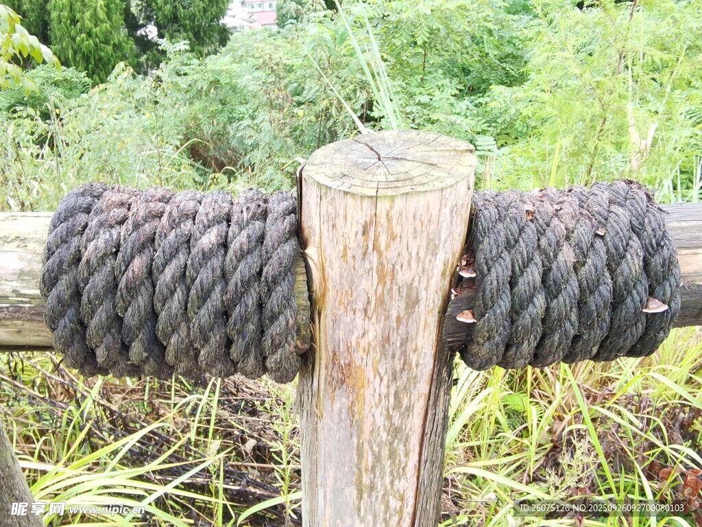 木桩缠绕粗绳的户外景象