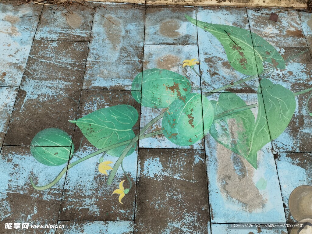 地面彩绘绿植图案