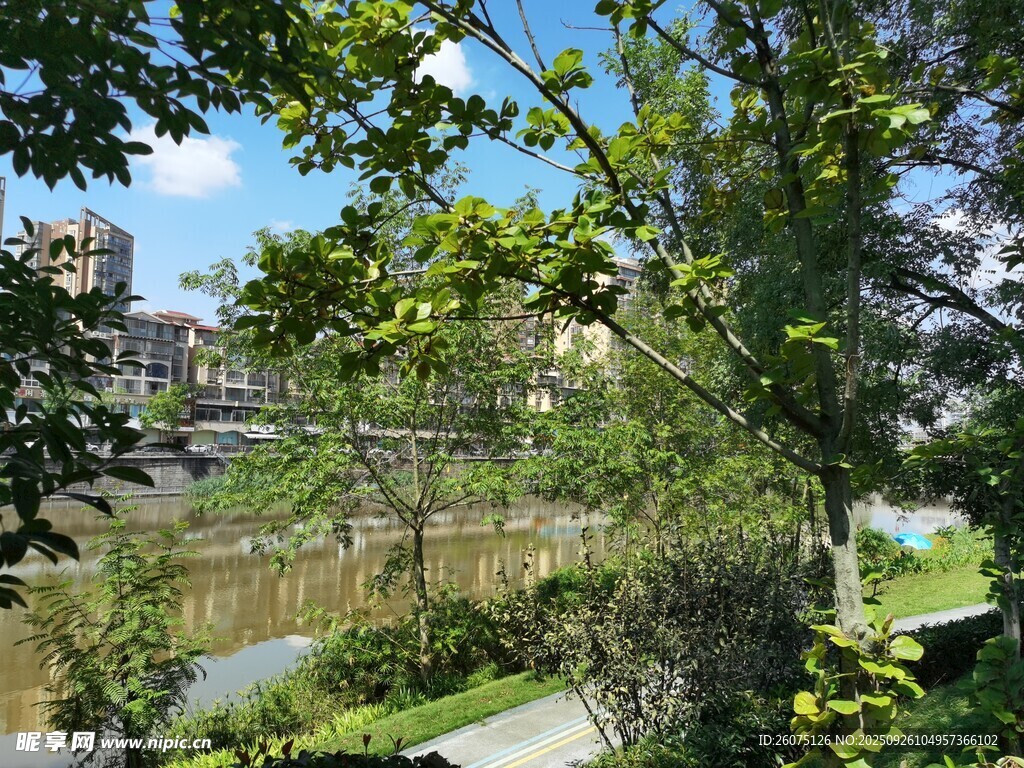 城市河畔绿意盎然景观