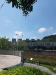 河畔公园景致
