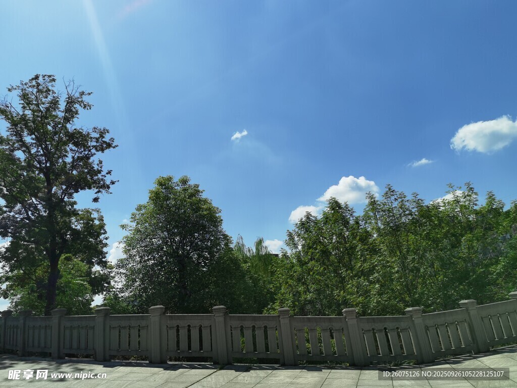 晴朗天空下的树木与围栏