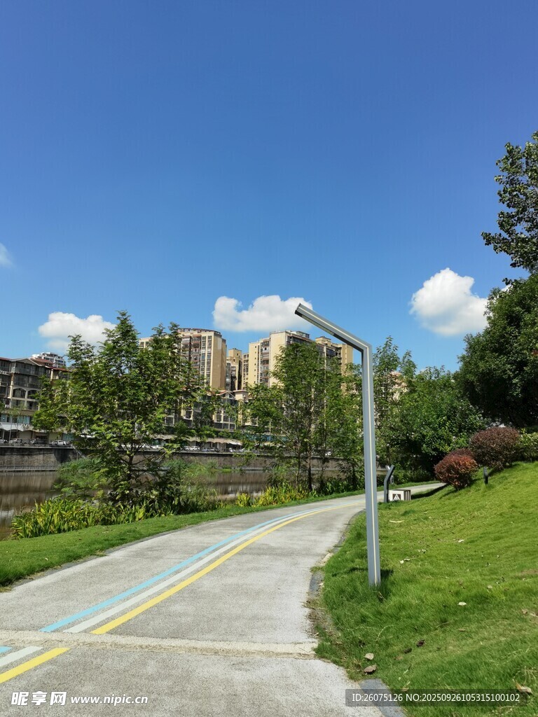 户外清新的林荫骑行小路