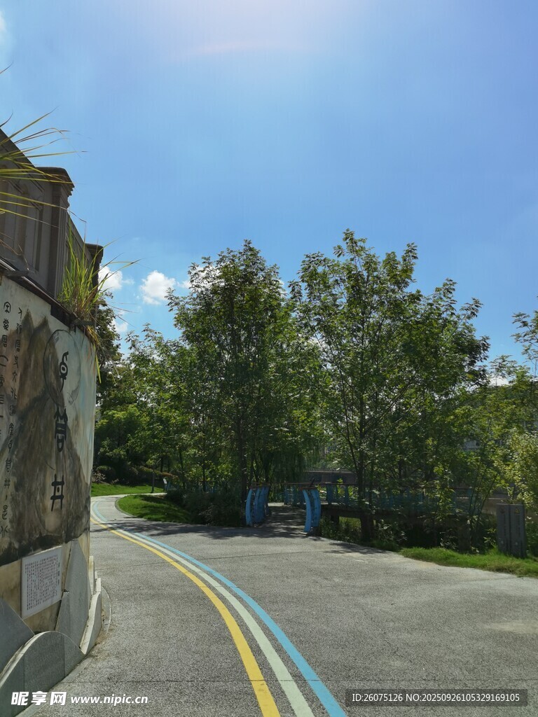 户外空旷道路与树木景观